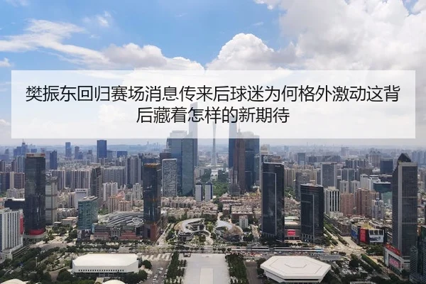 樊振东回归赛场消息传来后球迷为何格外激动这背后藏着怎样的新期待